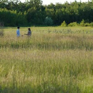 Living Prairie Museum grassland — photo by Robert Tinker